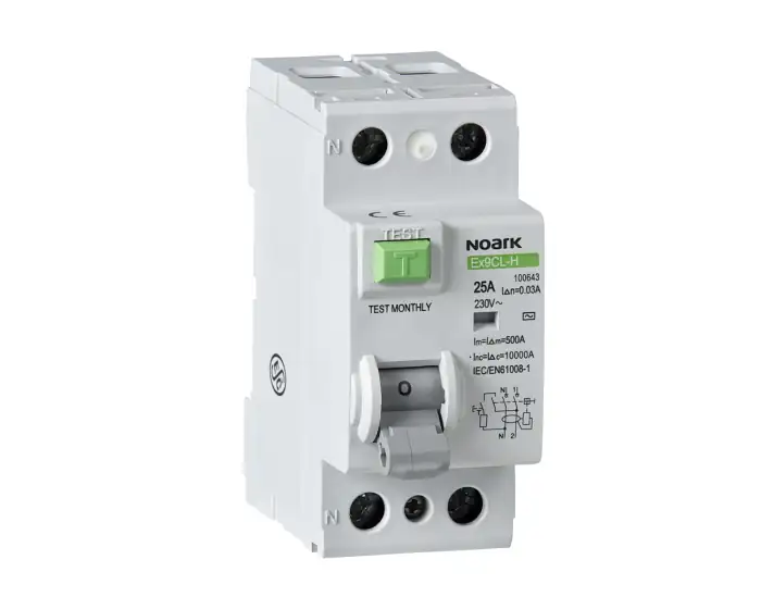 Residual Current Circuit Breaker, Icn=10kA, 2-pole, In=80A, I?n=300mA, typ S+AC