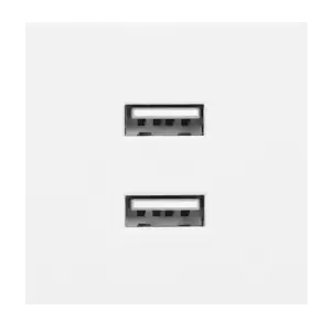 Διπλή πρίζα USB για module της σειράς NOEN 9010