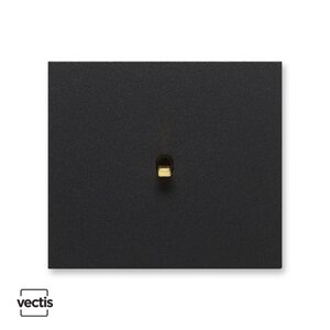 Single switch black base/gold switch